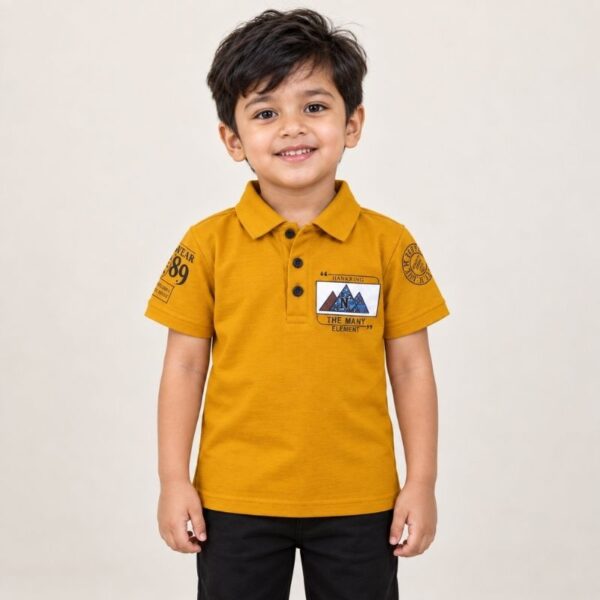 Brown Coller T-shirt (D.S-2)